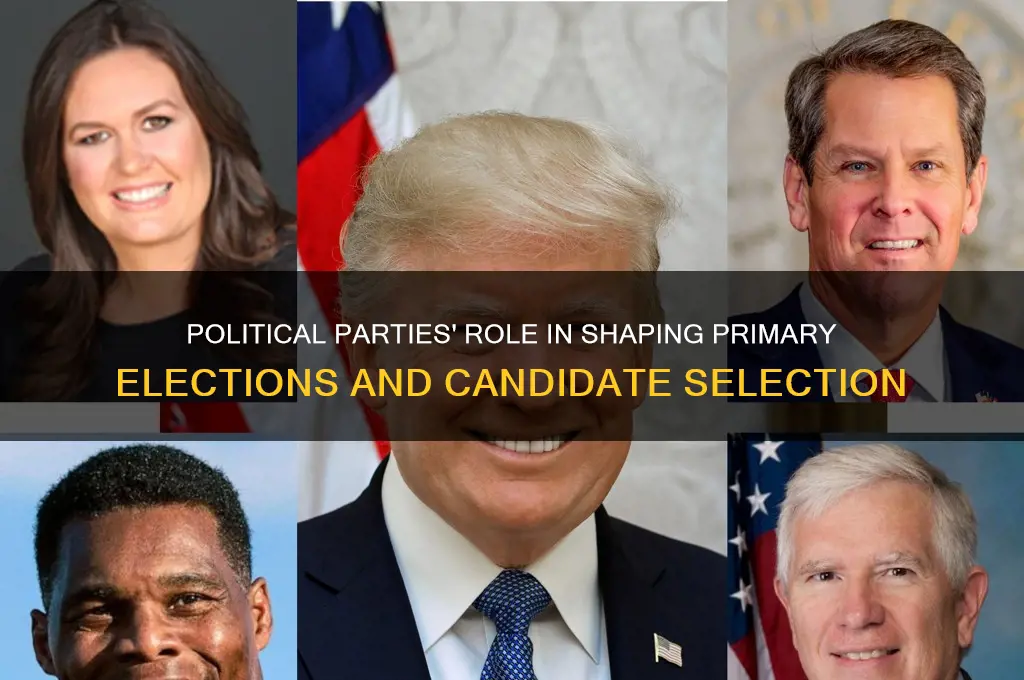how are political parties involved in the primary process