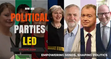 Understanding Leadership Dynamics: How Political Parties Are Led and Governed