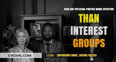 Political Parties vs. Interest Groups: Why Parties Lead in Policy Impact