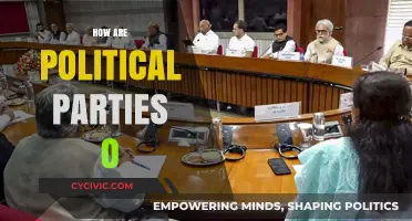 How Political Parties Operate: Strategies, Structures, and Power Dynamics