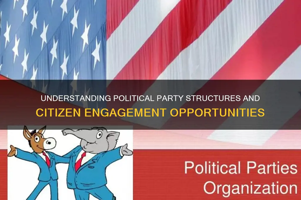 how are political parties organized and how can citizens participate