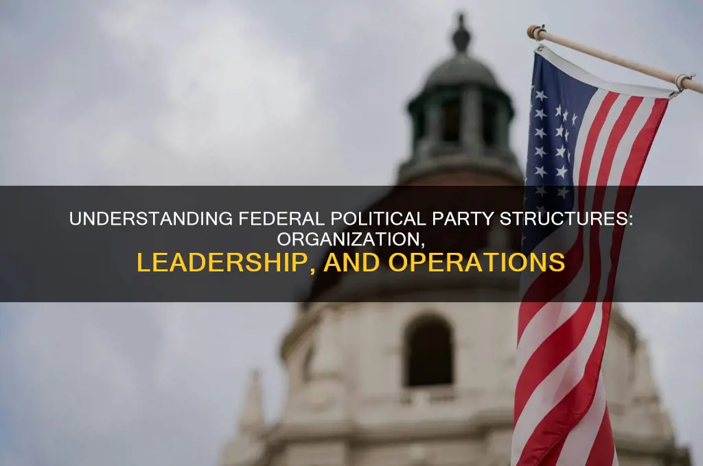 how are political parties organized at the federal level