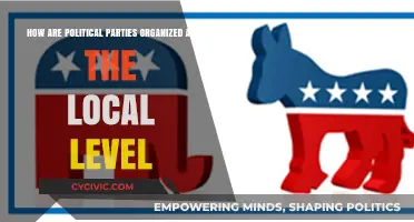 Local Political Party Structures: Organization, Roles, and Community Engagement