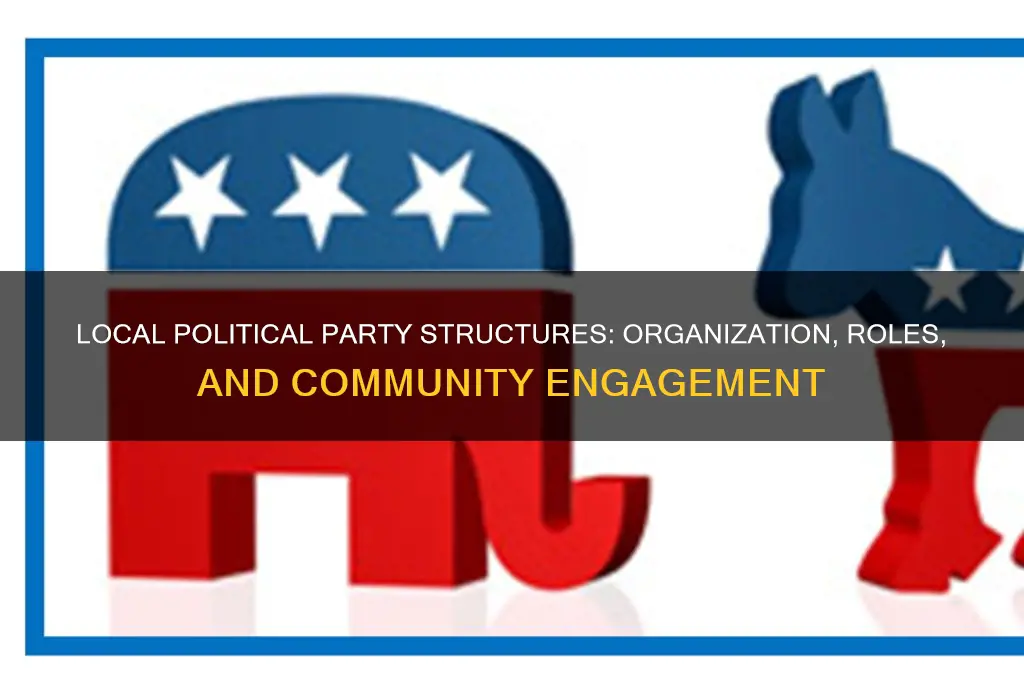 how are political parties organized at the local level