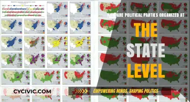 State-Level Political Party Structures: Organization, Leadership, and Operations Explained