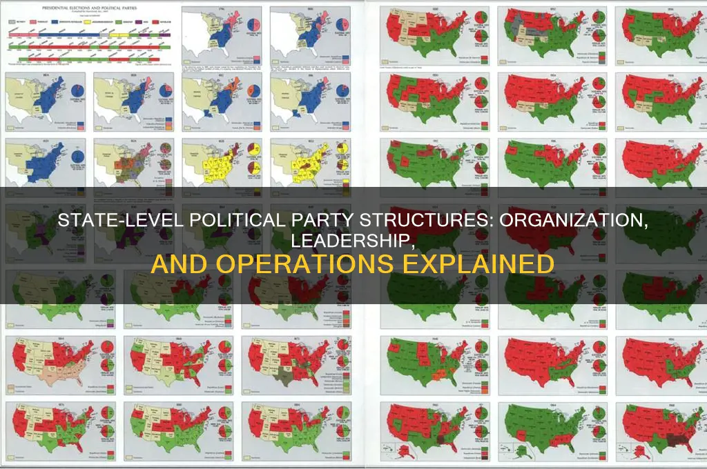 how are political parties organized at the state level