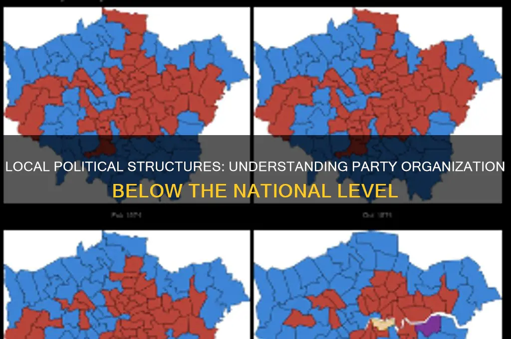 how are political parties organized below the national level