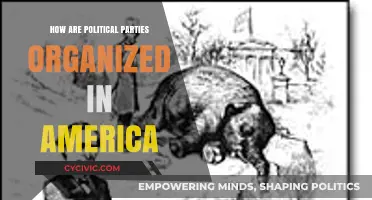 Understanding the Structure and Organization of American Political Parties