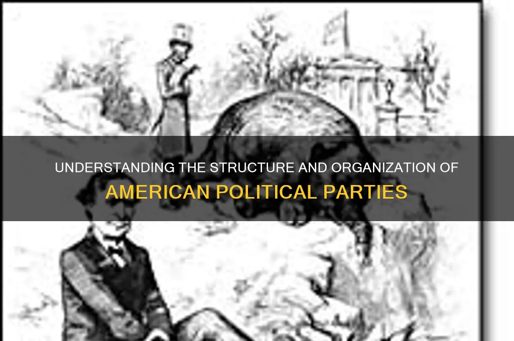how are political parties organized in america