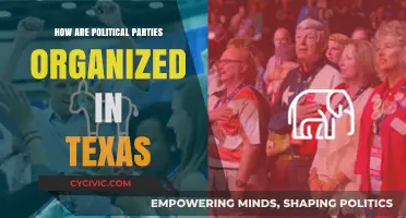 Understanding Texas Political Party Structures: Organization, Leadership, and Functions