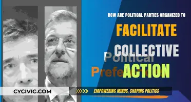 Organizing Political Parties: Structures for Effective Collective Action