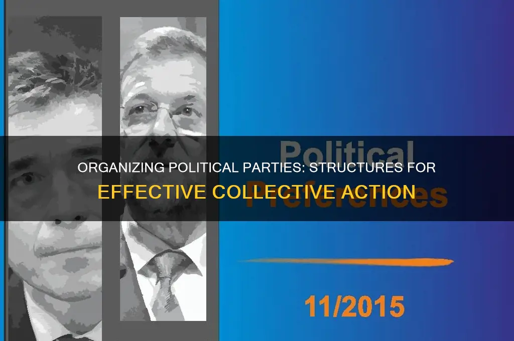 how are political parties organized to facilitate collective action