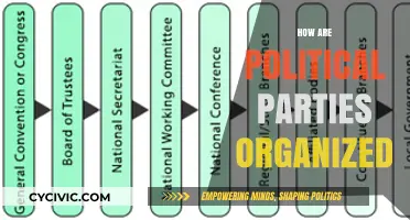 Understanding the Structure and Organization of Political Parties Worldwide