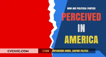 Perceptions of Political Parties in America: Trust, Division, and Influence