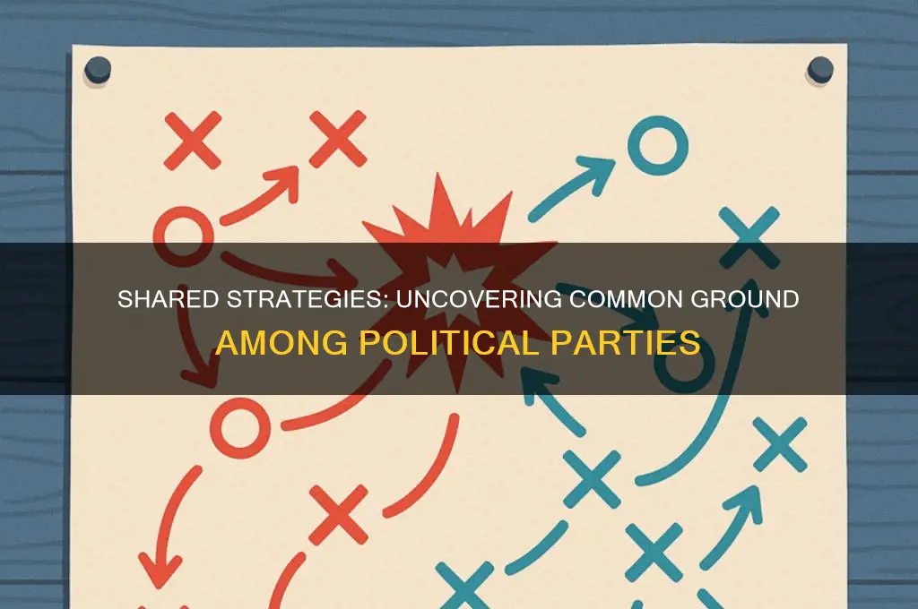 how are political parties similar