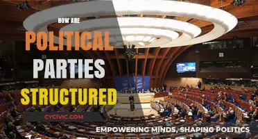 Understanding the Organizational Framework of Political Parties: A Comprehensive Guide
