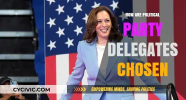 Understanding the Selection Process of Political Party Delegates