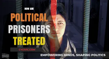 Unveiling the Harsh Realities of Political Prisoner Treatment Globally