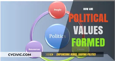 Shaping Political Values: Influences, Development, and Societal Impact Explained