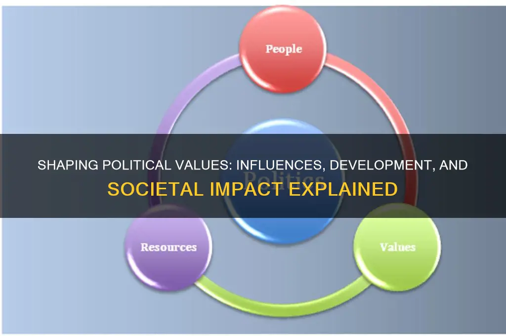 how are political values formed
