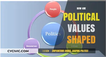 How Political Values Are Shaped: Influences and Impact on Society