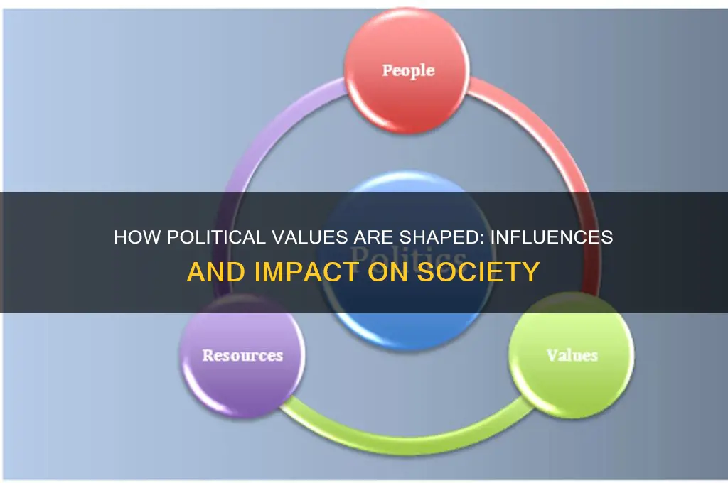 how are political values shaped