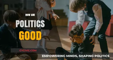 Politics Shaping Societies: The Positive Impact of Governance and Policy