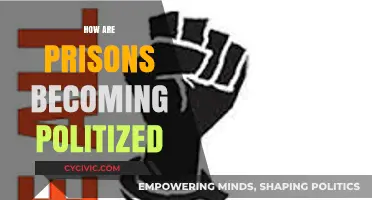 Prisons, Politics, and Power: The Growing Politicization of Incarceration