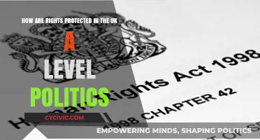 Safeguarding Liberties: An A-Level Guide to Rights Protection in the UK