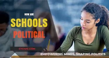 Schools as Political Arenas: Unveiling Hidden Agendas and Power Dynamics