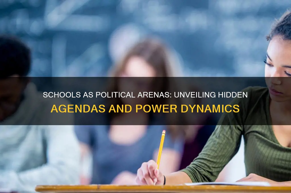 how are schools political