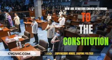 Senators: Constitutional Selection Process Explained