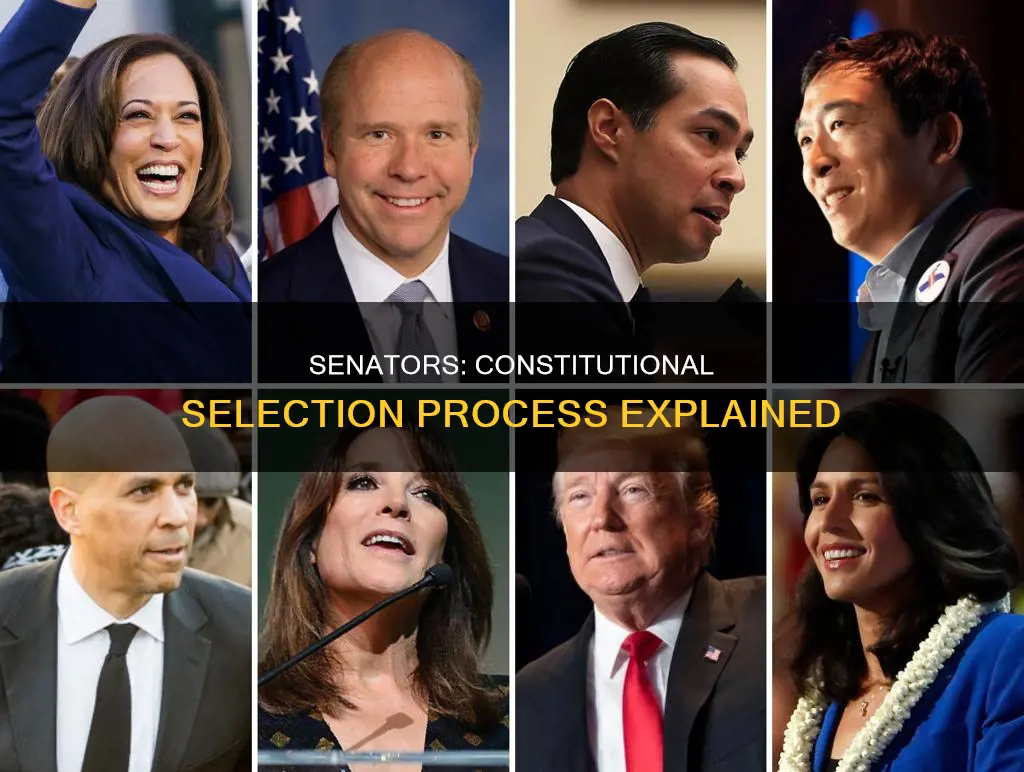 how are senators chosen according to the constitution