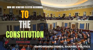 The Senate: Election Process as Per the Constitution