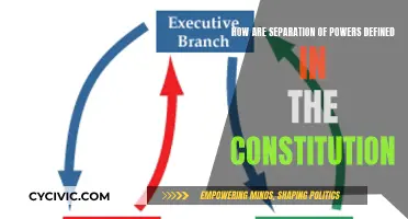 Separation of Powers: Constitution's Definition and Purpose
