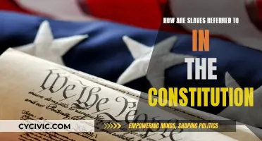 The Constitution's Slave Language