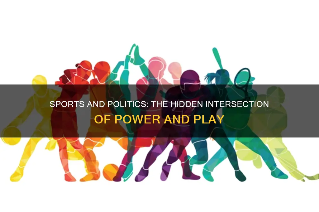 how are sports political