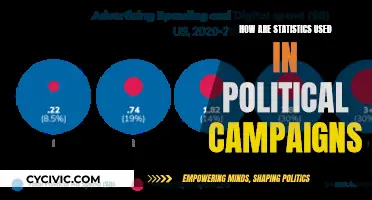 Statistics in Politics: Campaign Strategies and Voter Insights