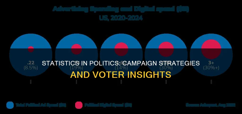 how are statistics used in political campaigns