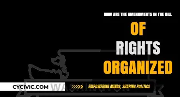 Amendments in the Bill of Rights: A Structured Organization