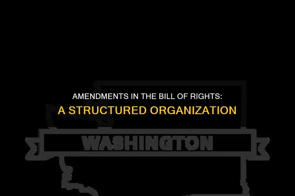 how are the amendments in the bill of rights organized