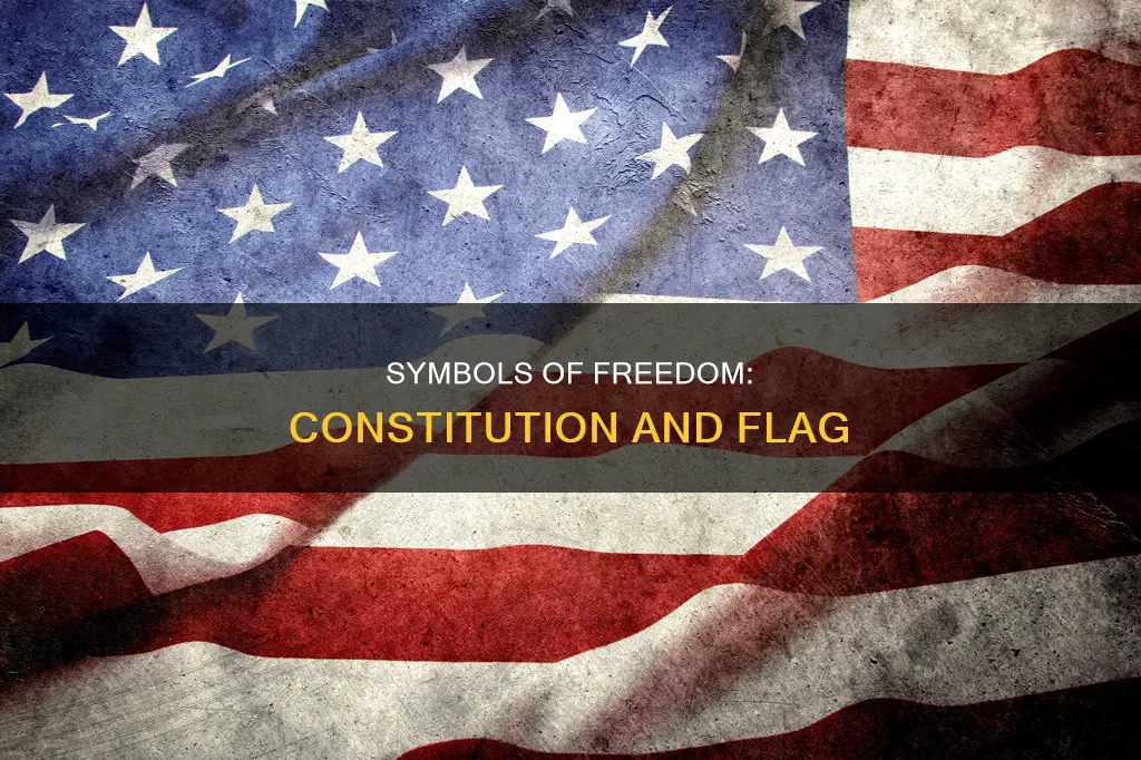 how are the constitution and american flag alike