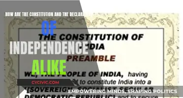 Founding Documents: Similarities in US Constitution and Declaration