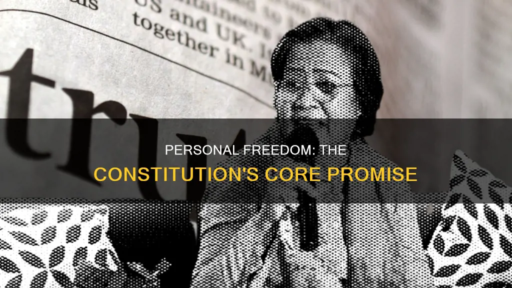 how are the constitution