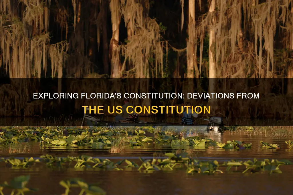how are the florida constitution and the us constitution different