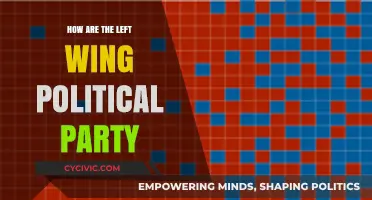Understanding the Ideologies and Impact of Left-Wing Political Parties
