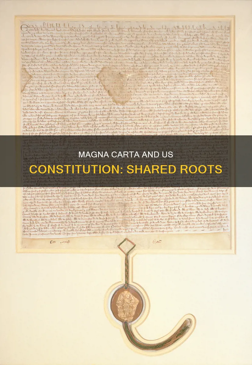 how are the magna carta and us constitution similar