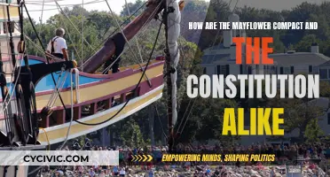 Mayflower Compact and Constitution: Shared Roots