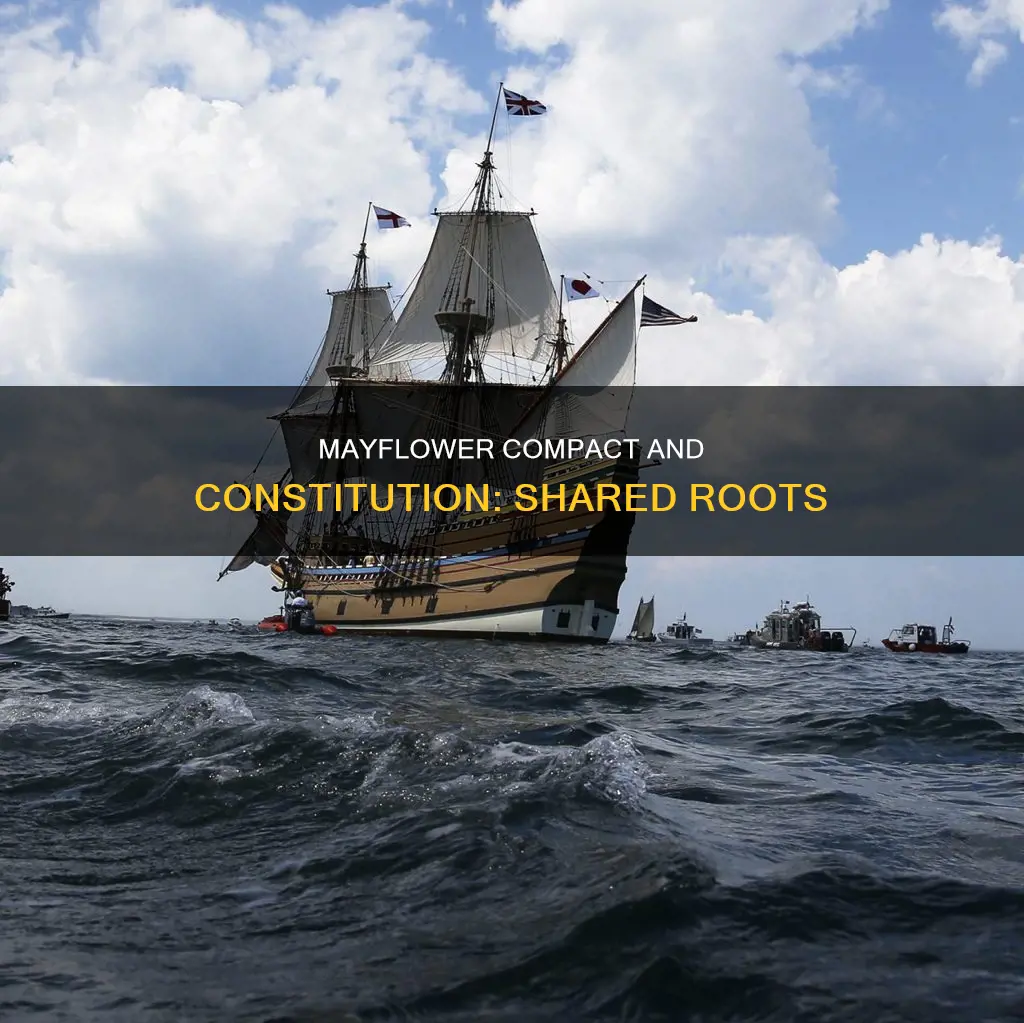 how are the mayflower compact and the constitution alike