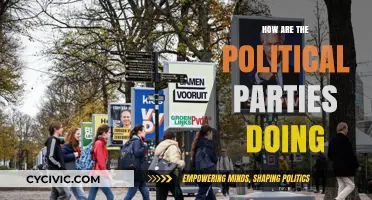 Analyzing Political Parties' Performance: Strengths, Weaknesses, and Public Perception